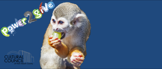squirrel monkey